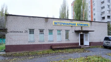 Ветеринарная клиника Доктор Вет на улице Генерала Лизюкова изображение 5